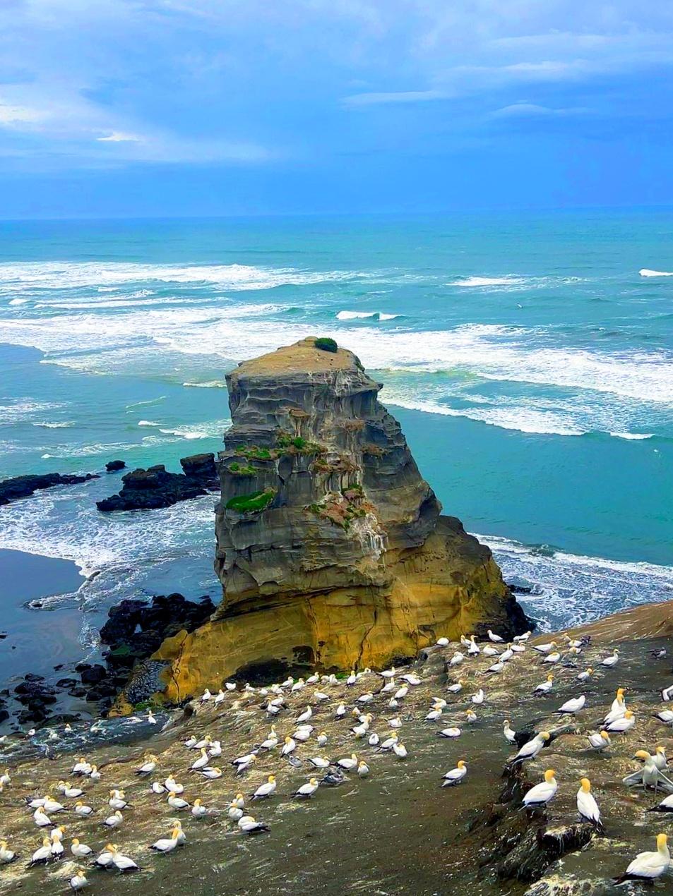 登山与人生
 
俗者登山，一心只在攀高，最终只会累身苦体。
登山之妙，本不在登高