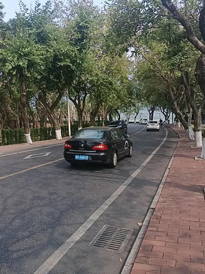 你敢相信吗？这也就是紫荆西提了
现在紫荆花已经开的差不多了
又到夏天了，夏天的时