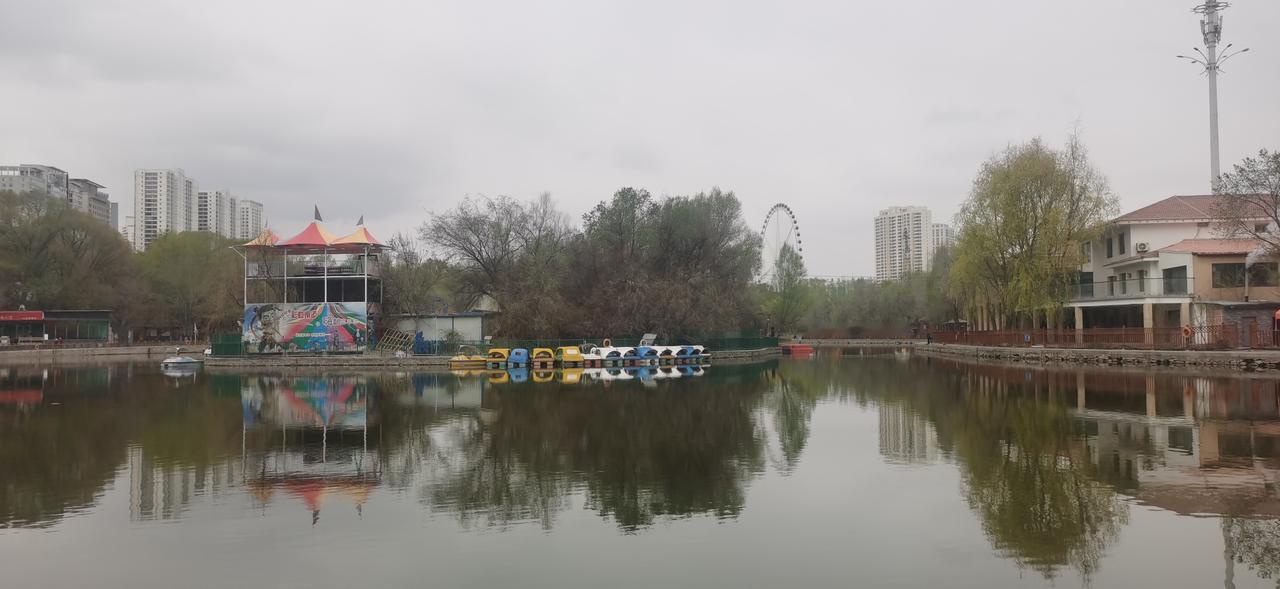 他爽了，我恶心一天。今天闲来无事，闲庭信步走路去西宁人民公园赏花，路上遇到几件别