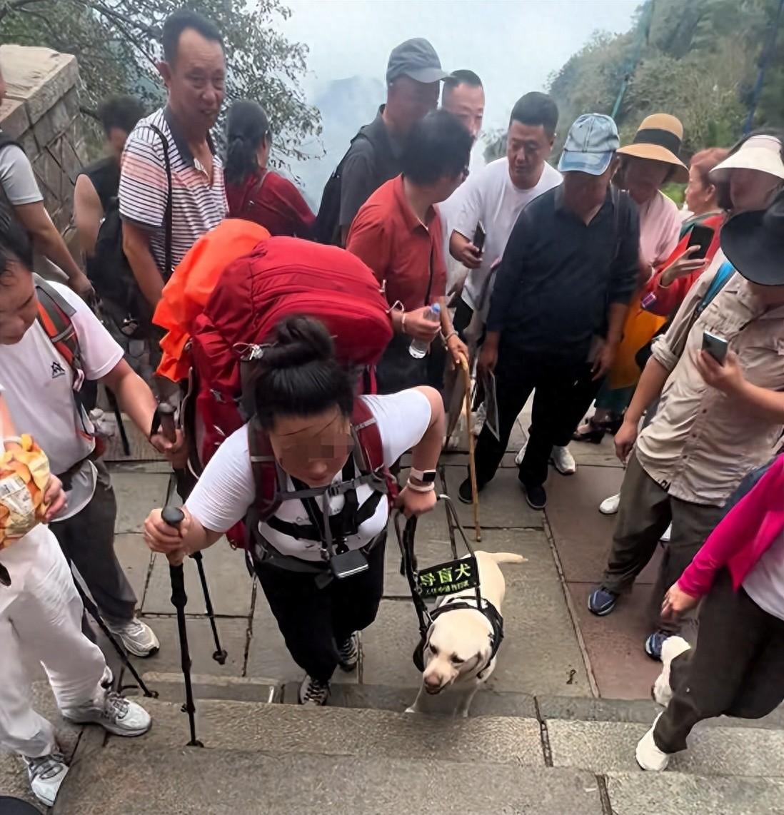 大连市残联回应“盲人带导盲犬爬泰山”：已跟导盲犬基地商议将犬只接回。
 
导盲犬