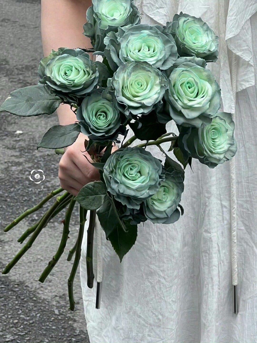 我会送你抹茶玫瑰 🥀 ​​​
