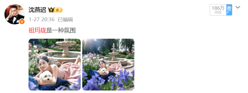 ydl要是每条都这样就好了