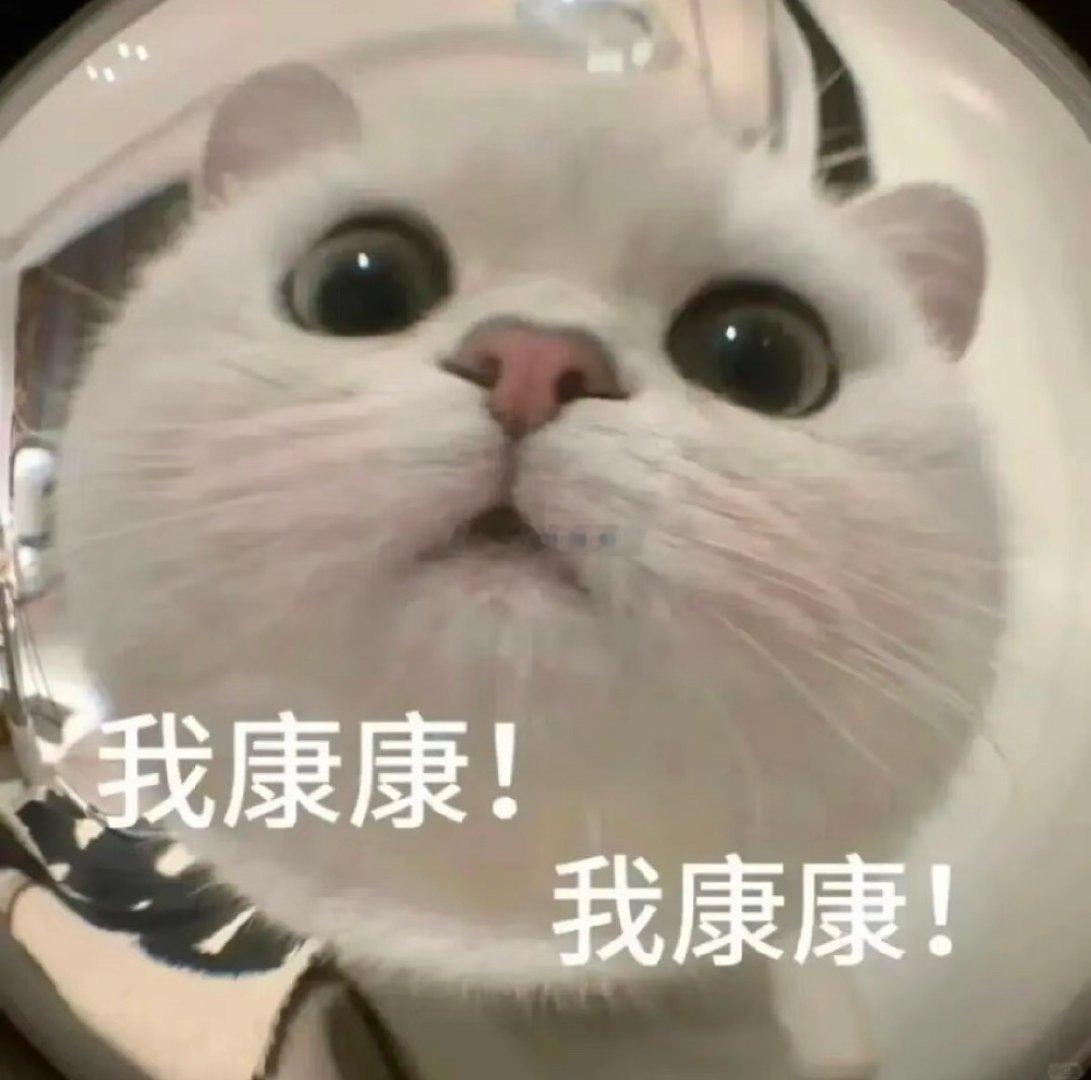 🐺一本正经的涩涩真的太可爱了啊哈哈哈哈打视频的时候🐺突然压低声音🐺：看看小