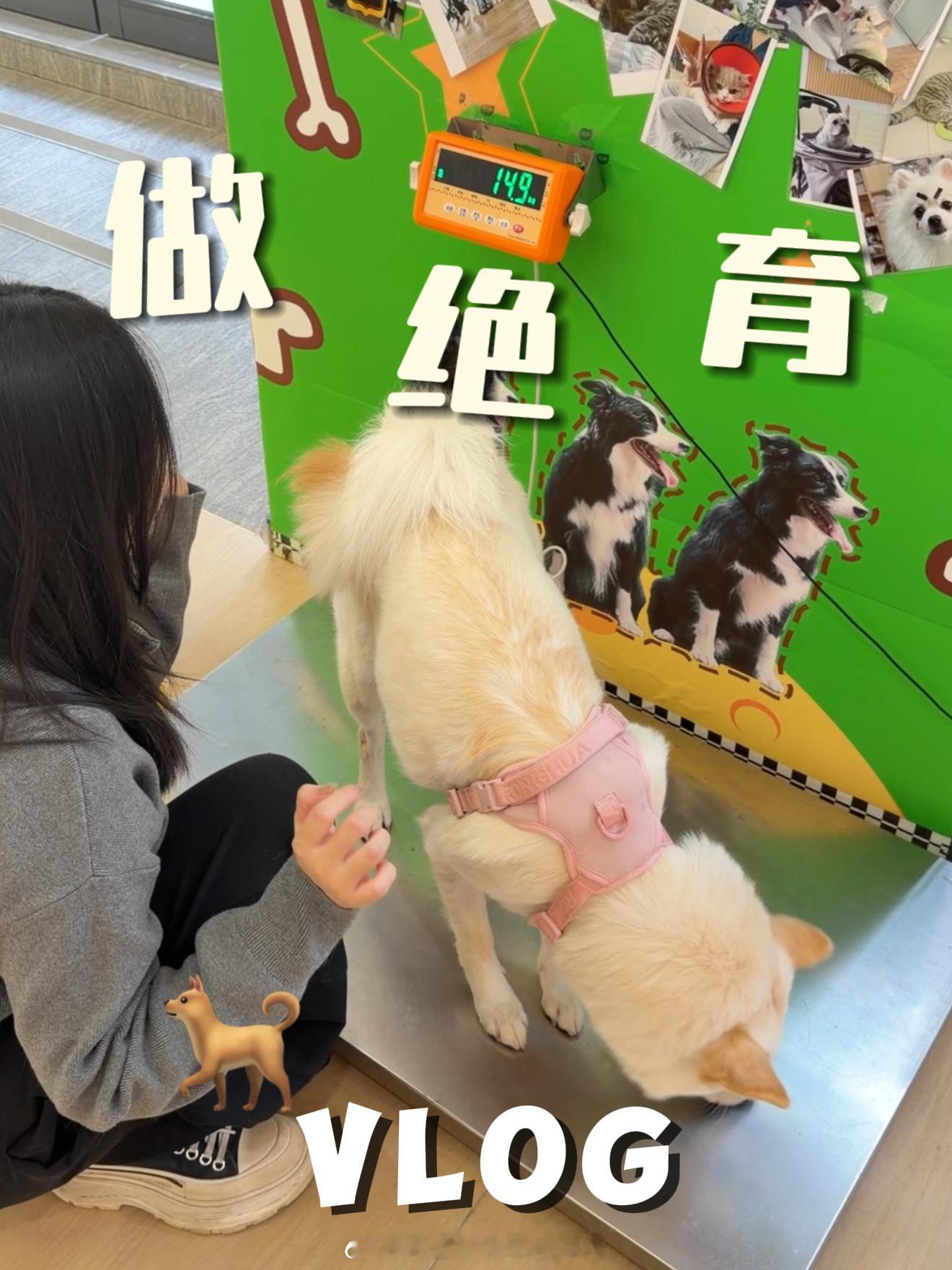 发啦[yeah]这期主角是我们小铁蛋～～ ​​​