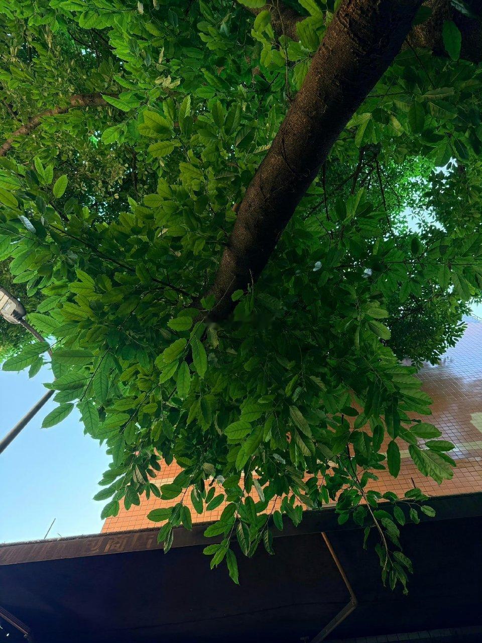 又失眠了，很烦、很累、也很困，但就是睡不着…人生的种种把自己熬的只剩下满身的疲惫