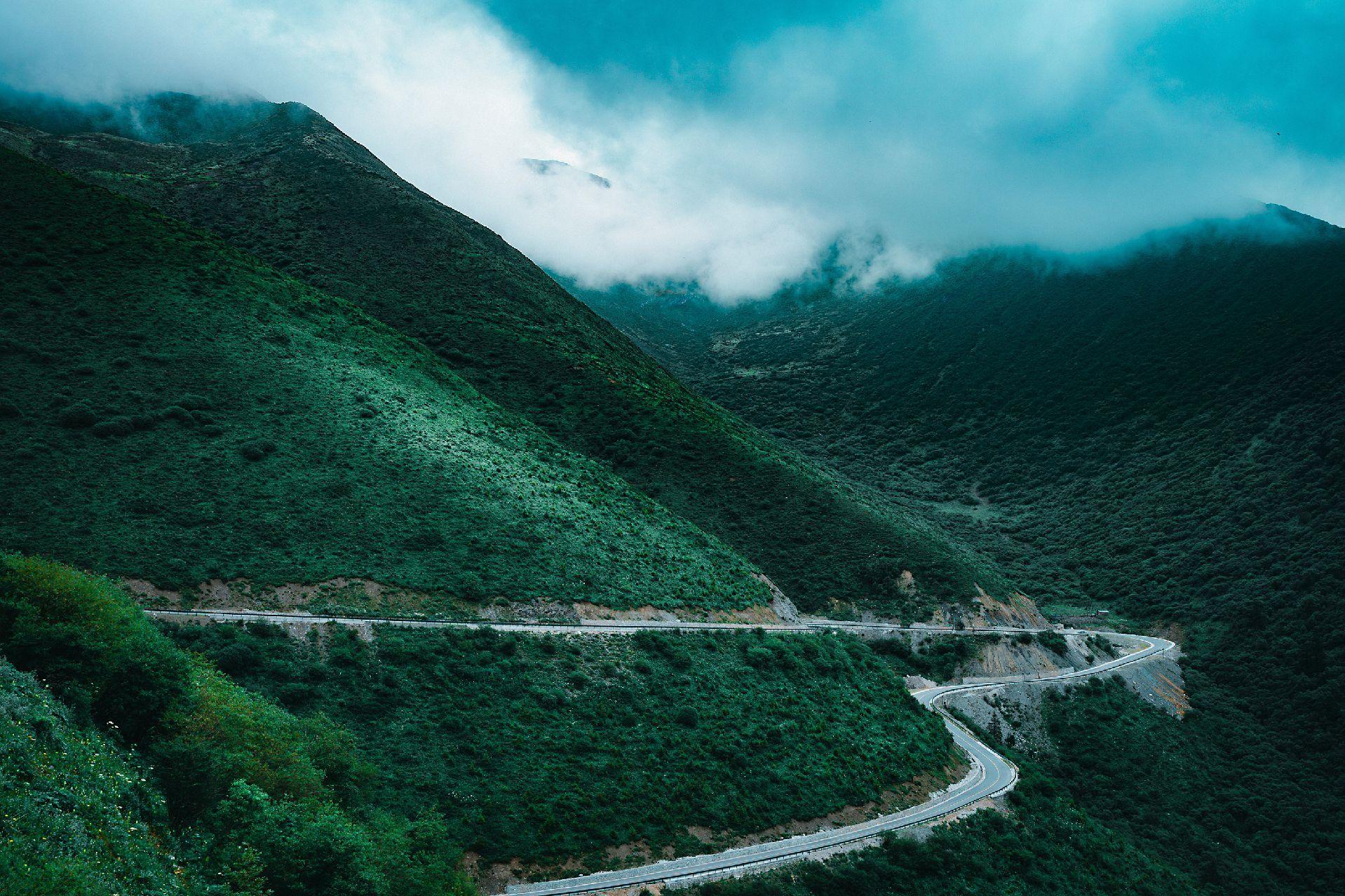 川西的云是挂在山尖的， 拐过这道弯， 雾就裹着绿浪漫上来， 路在山里缠...