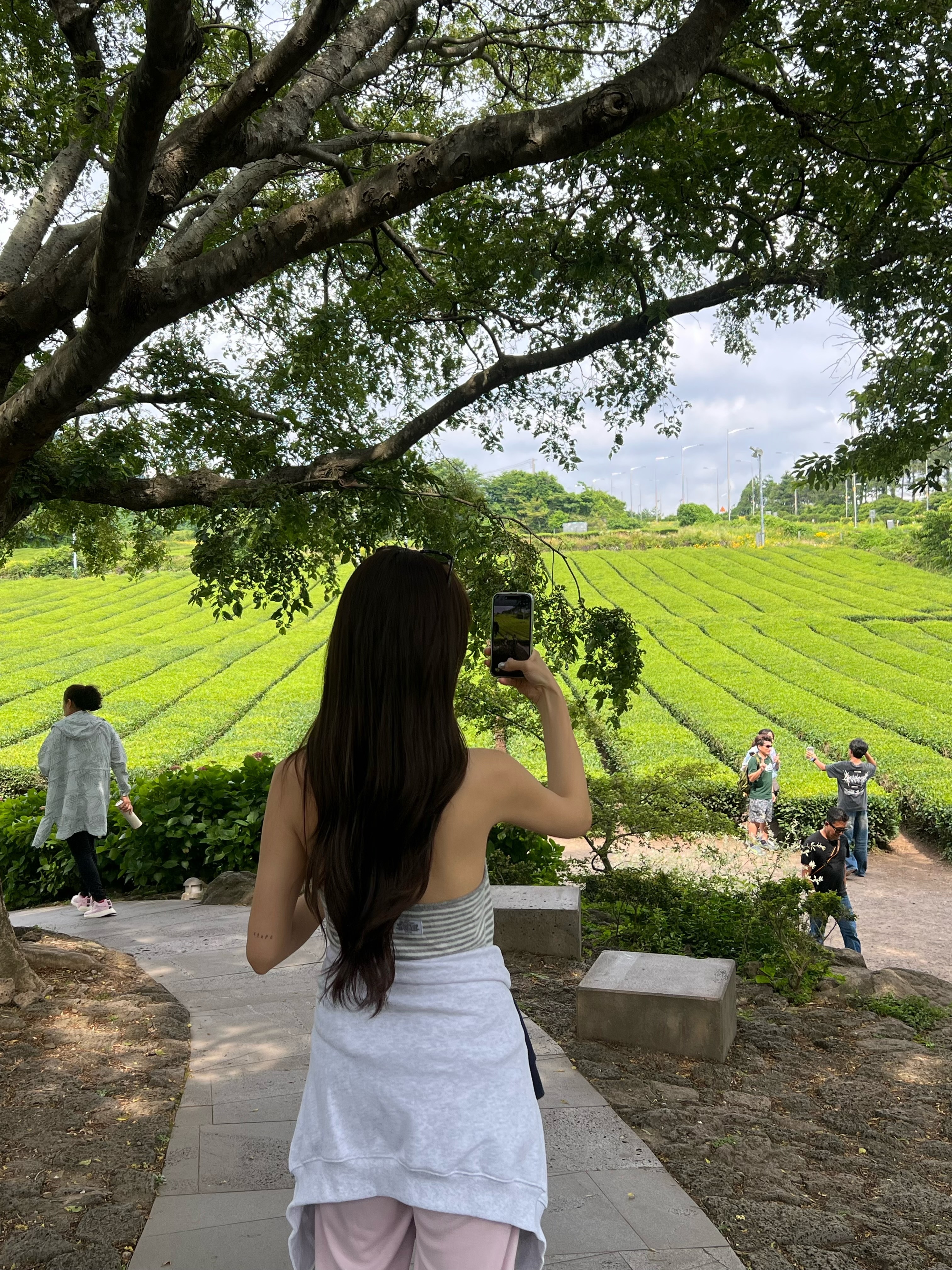 coco的济州岛plog 
