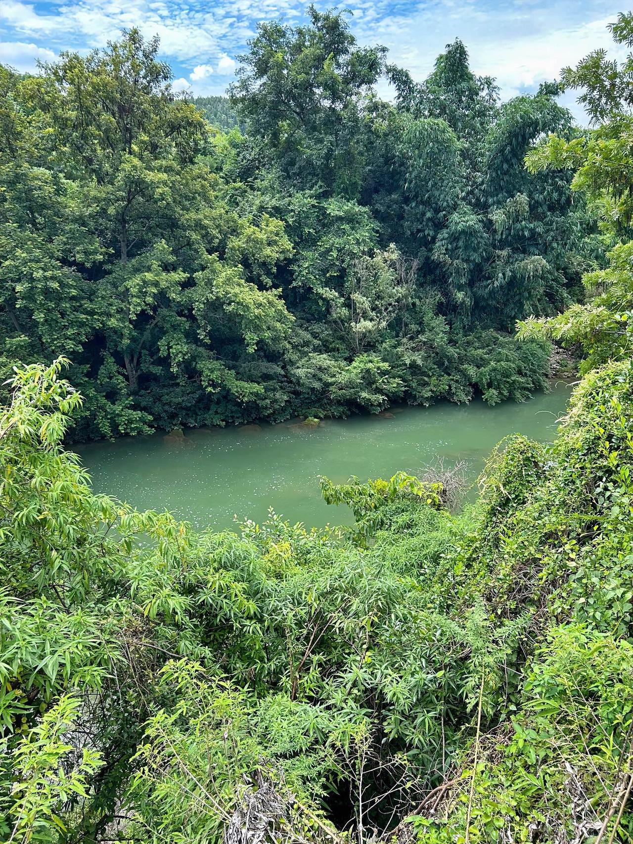 超好看的美树风景此图片拍摄于贵阳瑶池。时在一个秋日的午后，阳光不燥，碧波粼粼，绿