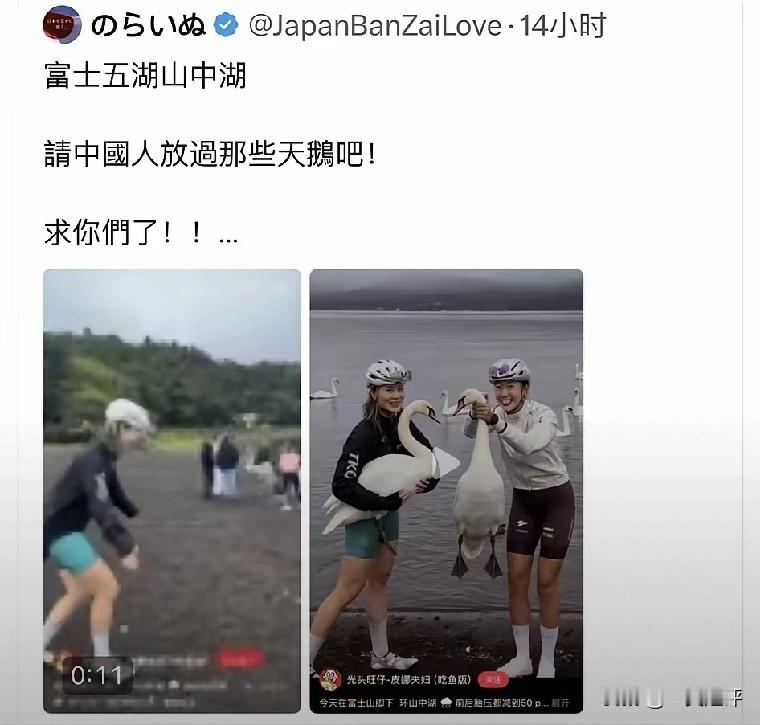 【日本用AI丑化中国游客】
日本将中国🇨🇳游客的旅行视频，用 AI 进行修改