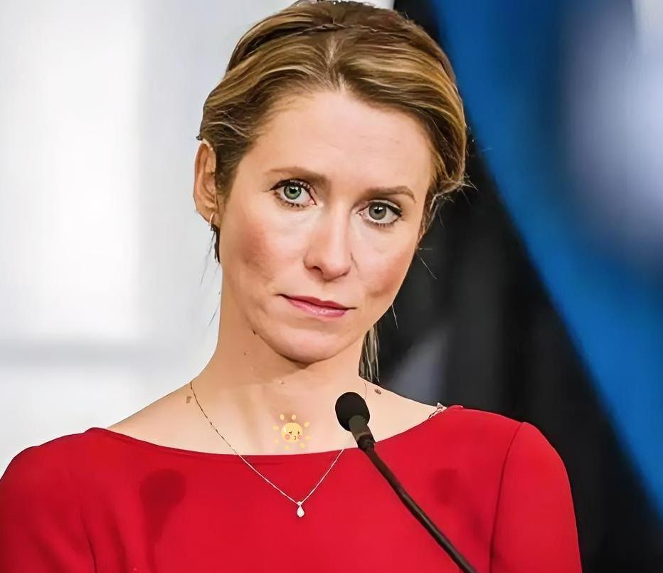 欧盟这次玩脱了！乌克兰入盟梦又要凉凉？

就在刚才，慕尼黑安全会议上爆出大消息，