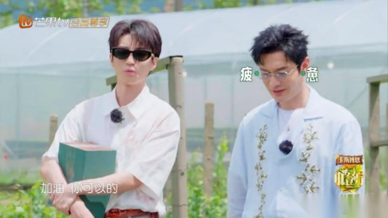 《中餐厅》最新一季黄晓明被迫营业。“我是真的有点干不动了，太累了。”话一出口，王