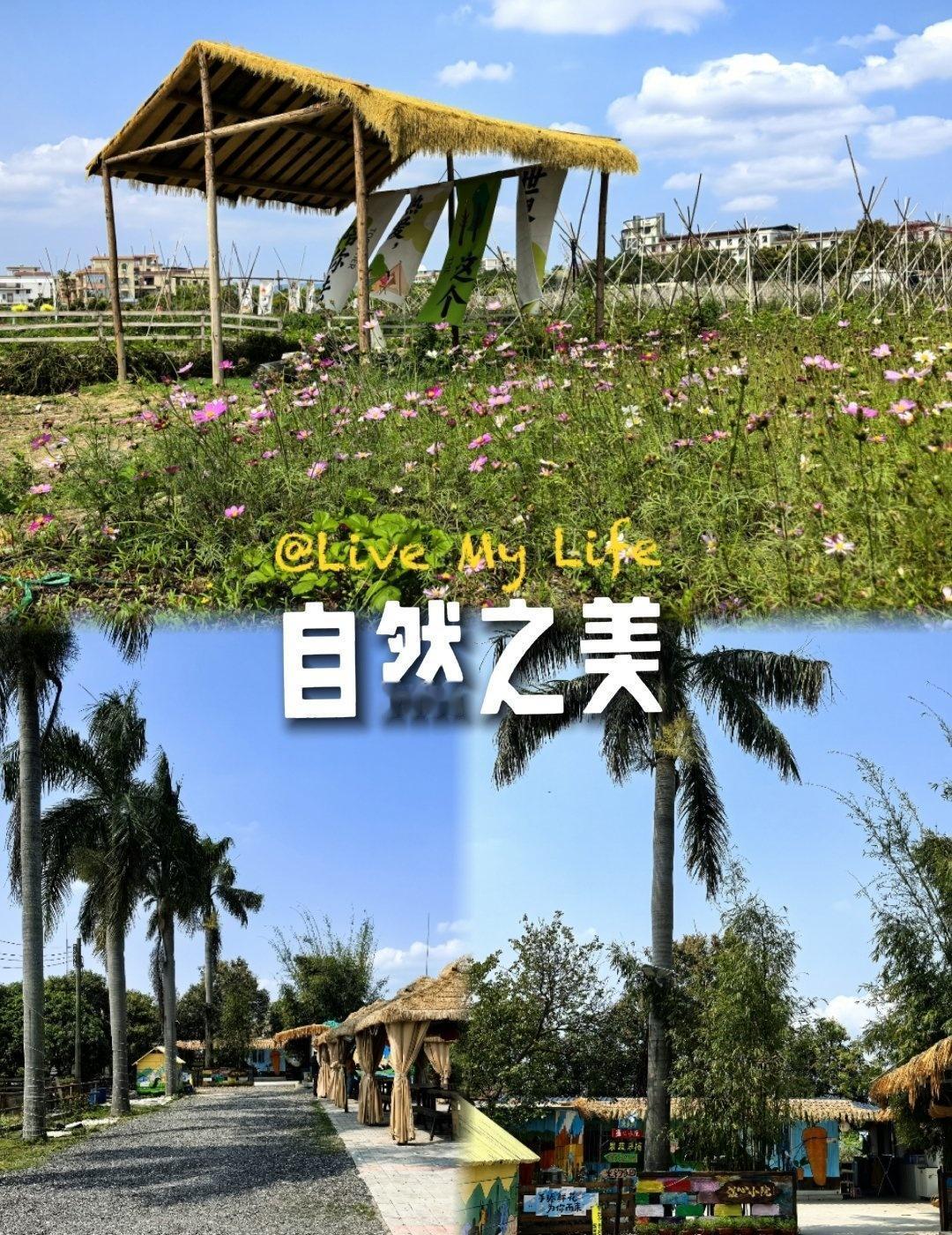 花都遛娃露营｜这家农场一站式太省心🌿 
📍广州 优语·温心康养农场
花都遛娃