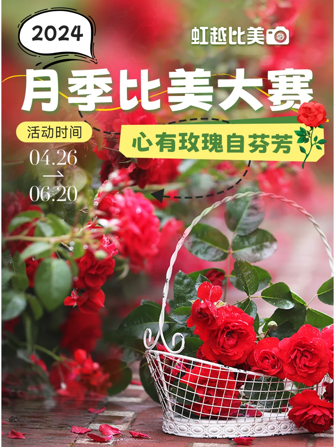 2024月季比美大赛获奖名单来啦！