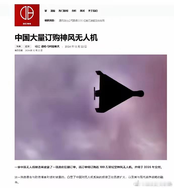 这样的无人机，我们一出手就是一百万架[允悲]三战谁敢和我们动手？ 