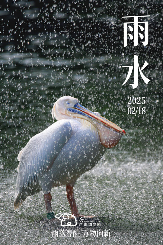 【二十四节气】雨水