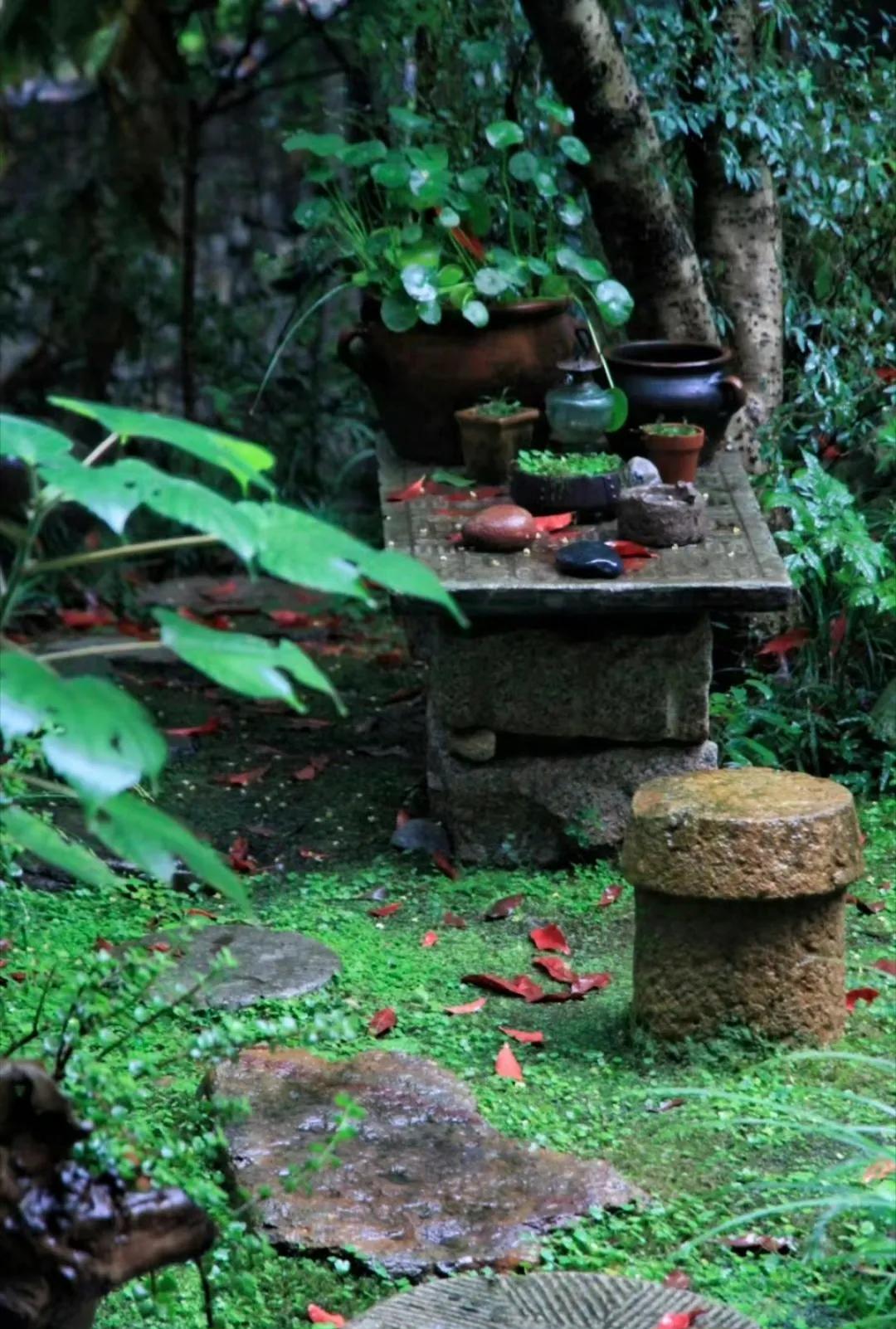“  汀花雨细，水树风闲 …  ”