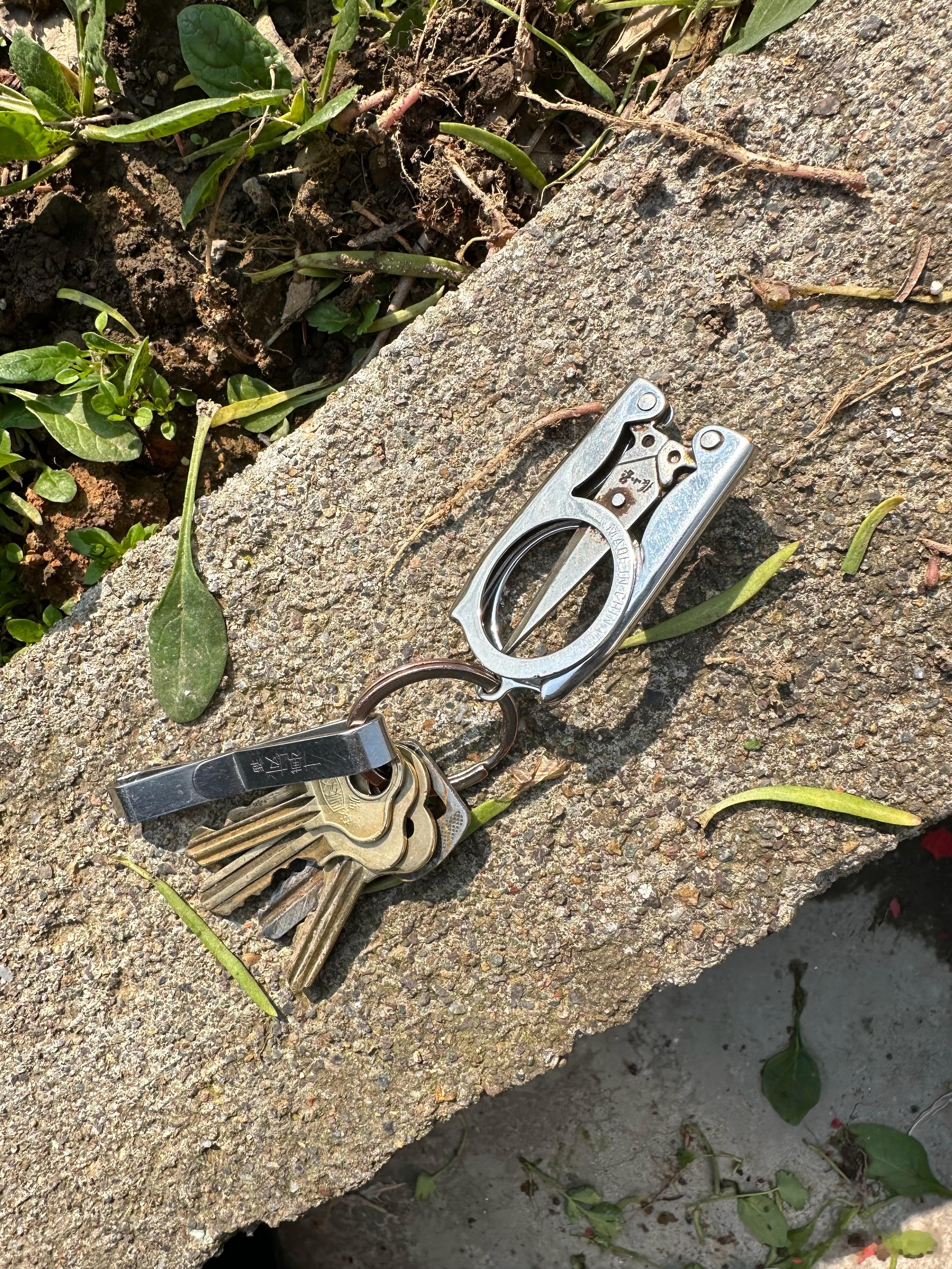 刚刚在村口小溪边捡到一串钥匙，遂在附近挨家挨户问，谁家丢了钥匙？结果，被几户人家