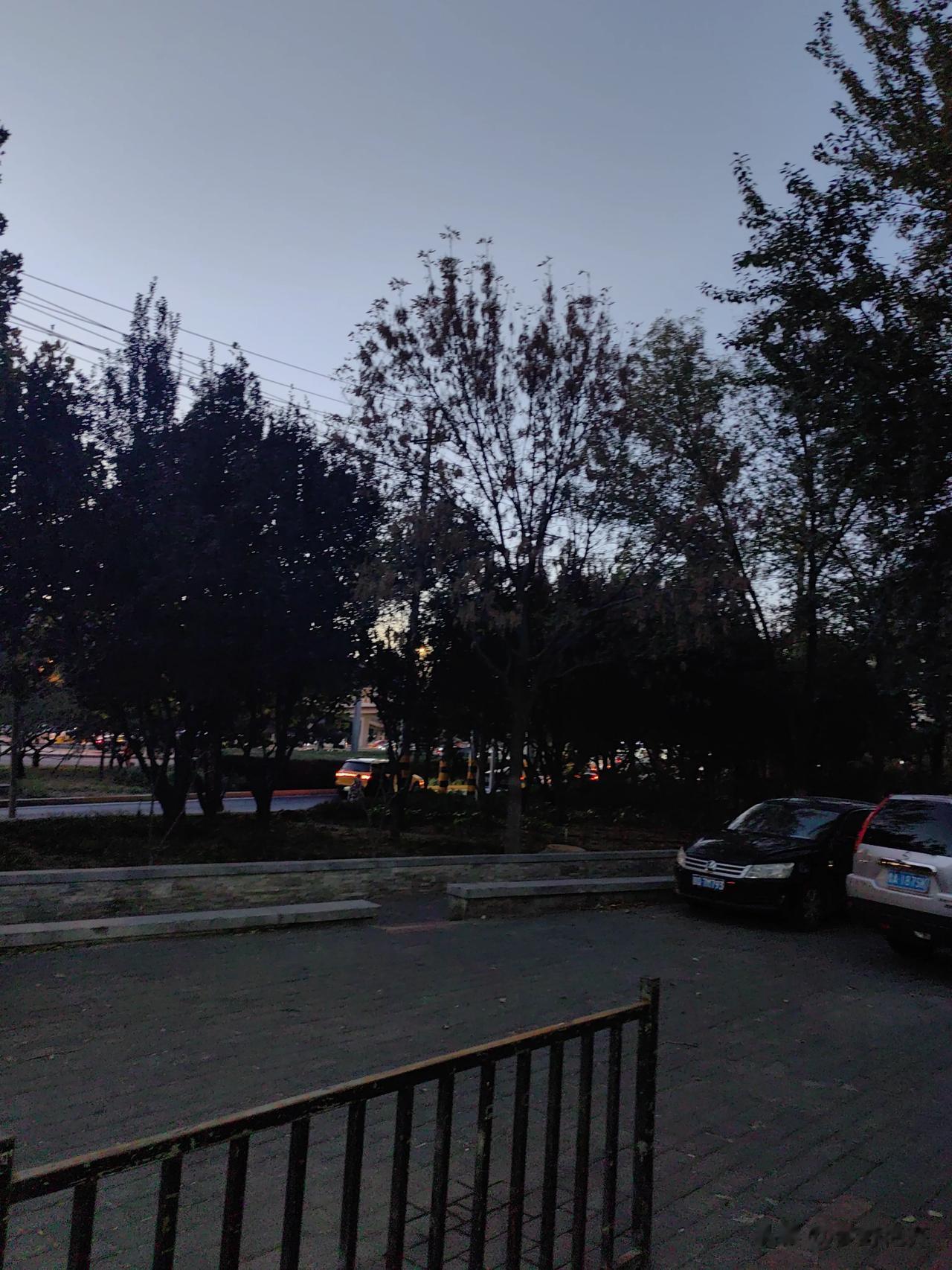 #寒潮来袭你感受到了么#↘真是太冷了。

今天，正好出去办继承权公证亲属关系证明