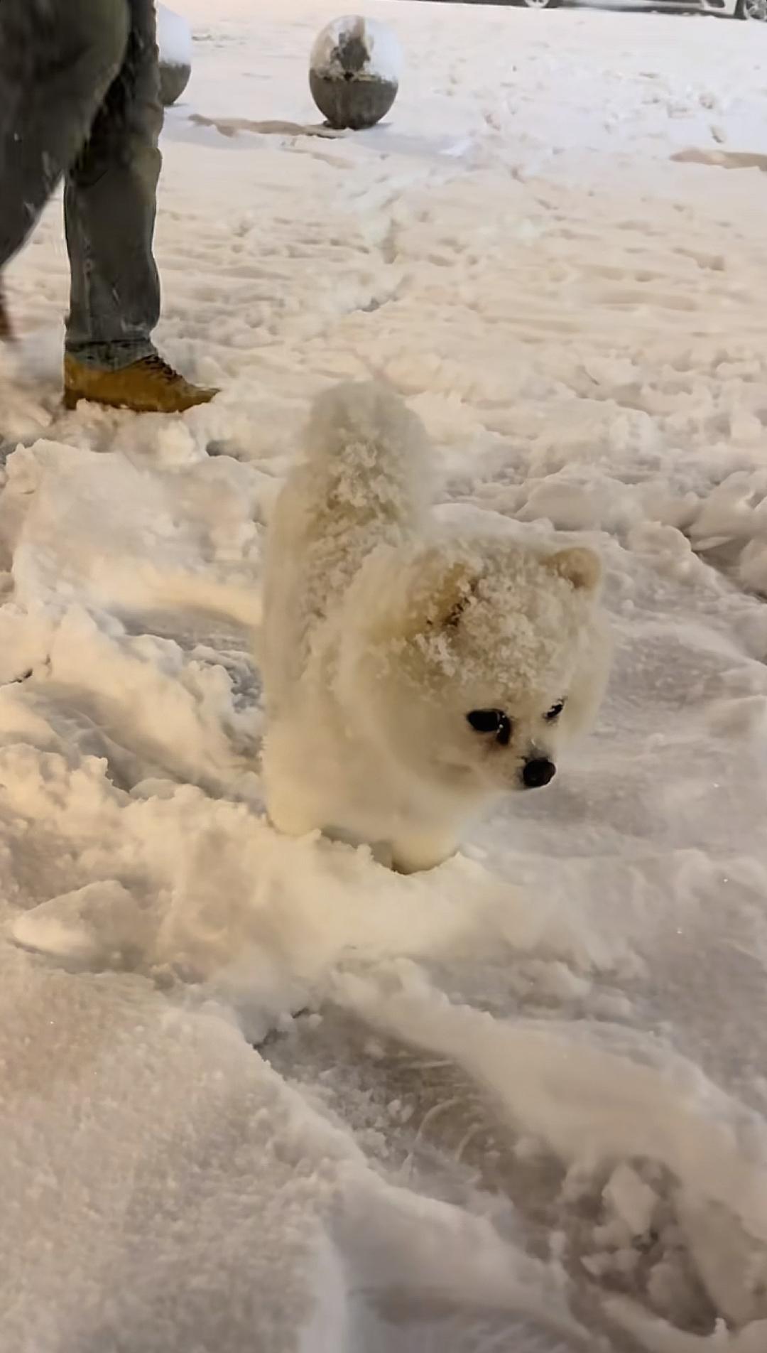 2025年10月20日凌晨菏泽下雪了，迎来了今年的第一场雪