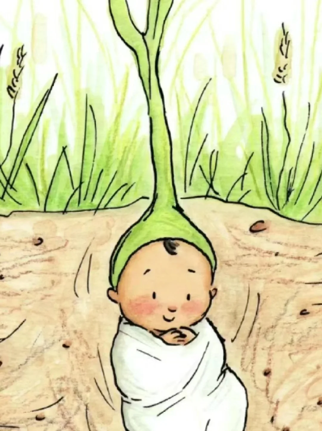 “花8800寻回小狗算不算错了？”