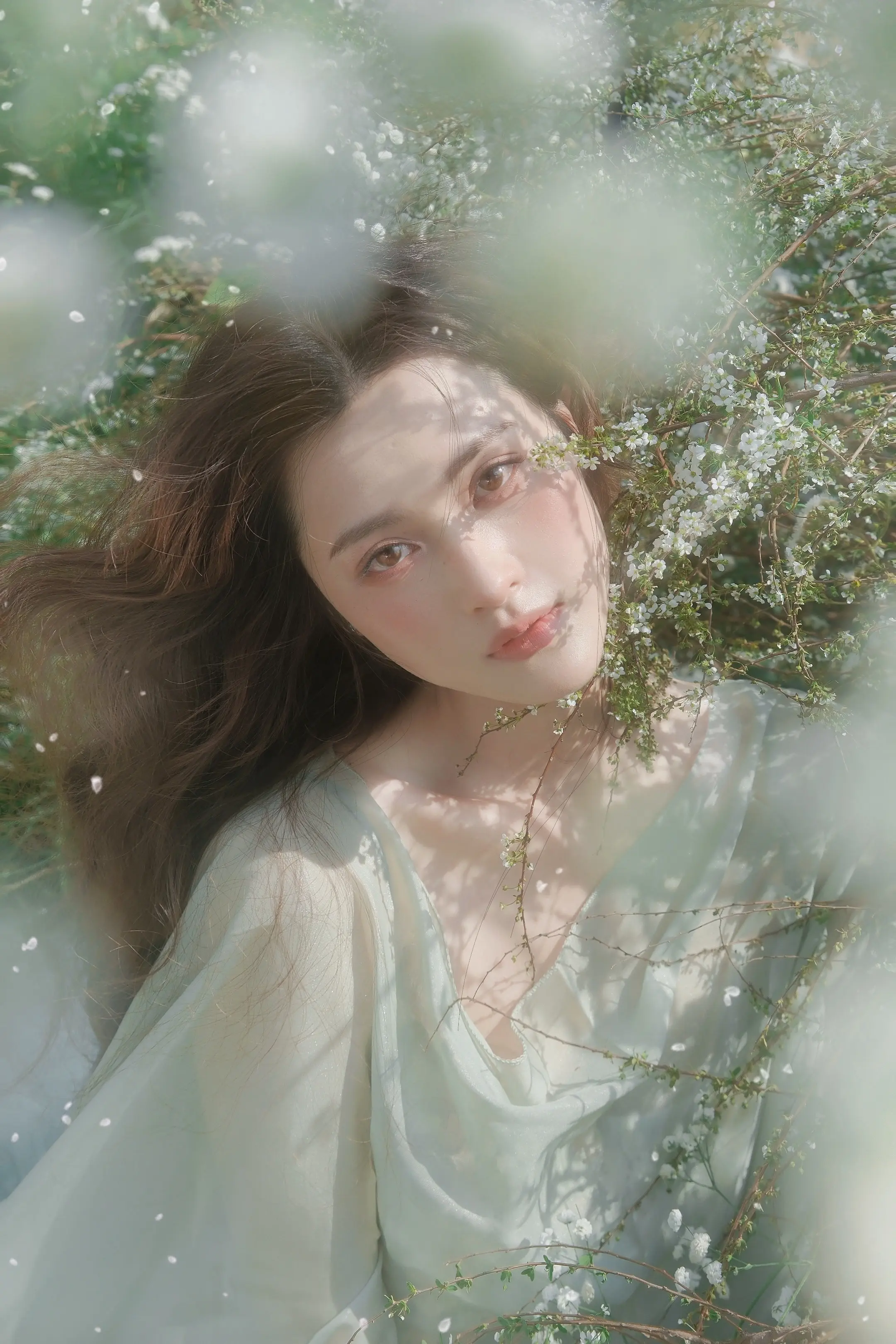 雪柳⋆꙳•̩̩͙‧͙ 落在春天的雪花。