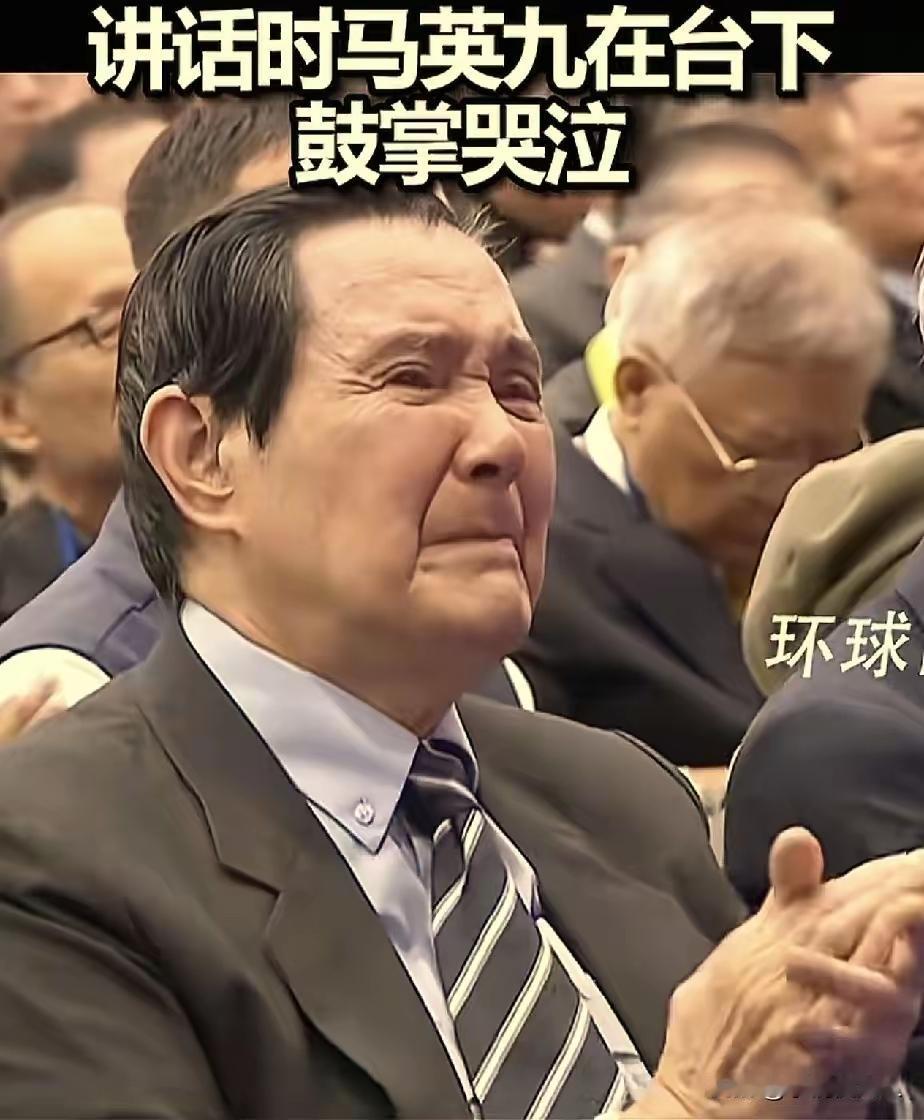 郑丽文都没想到，
她正式接任国民党主席的这一天，
最抢镜，最激动的不是她，而是