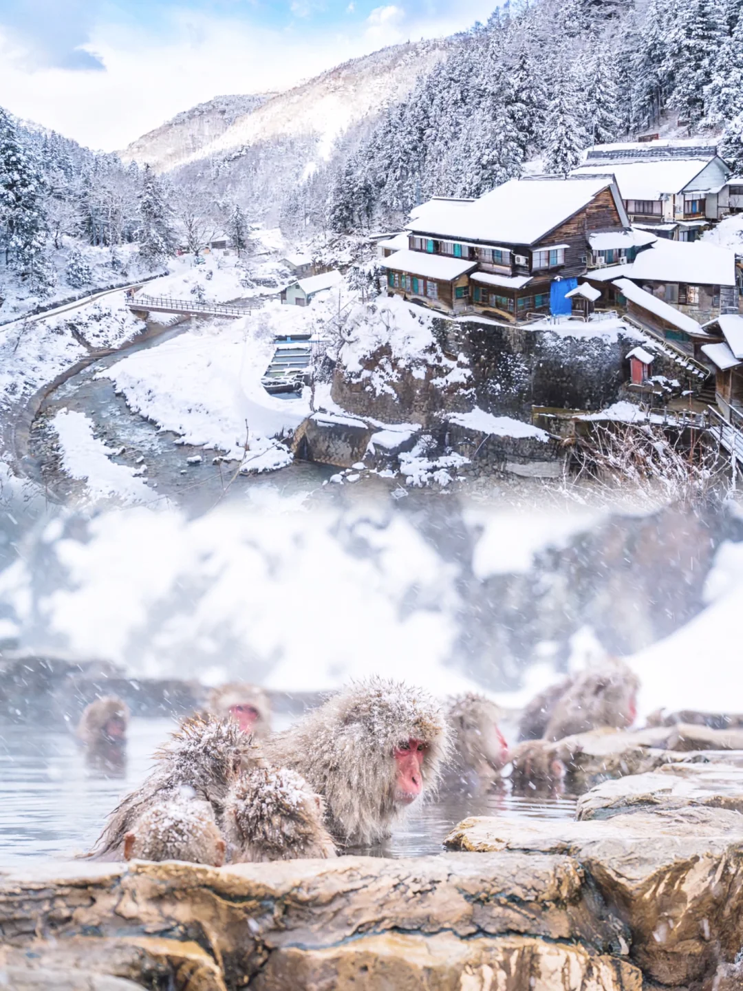 日本旅行❄️长野冬季限定 来看雪猴泡温泉！