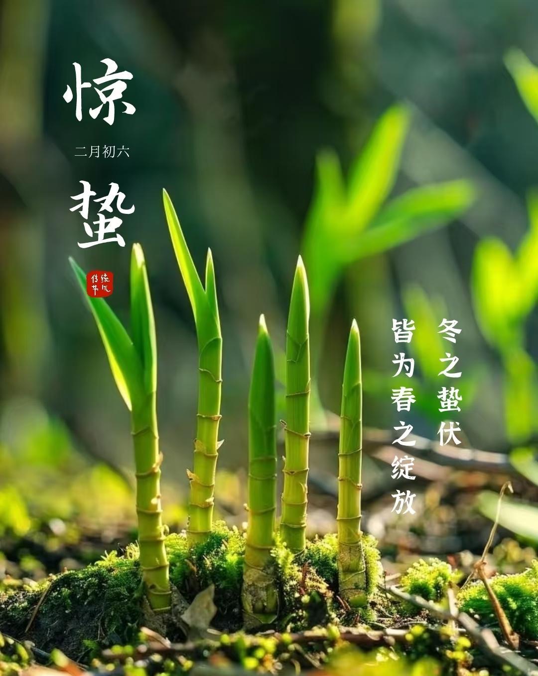 惊蛰，别只知道吃梨！老祖宗留下的“咬春”清单，吃对了一年都顺当



嘿，各位老