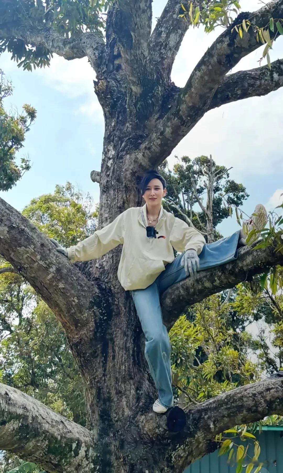 真是贫穷限制了我的想象啊！
就在我们平时生活中为买一个榴莲而抠抠搜搜，左思右想时