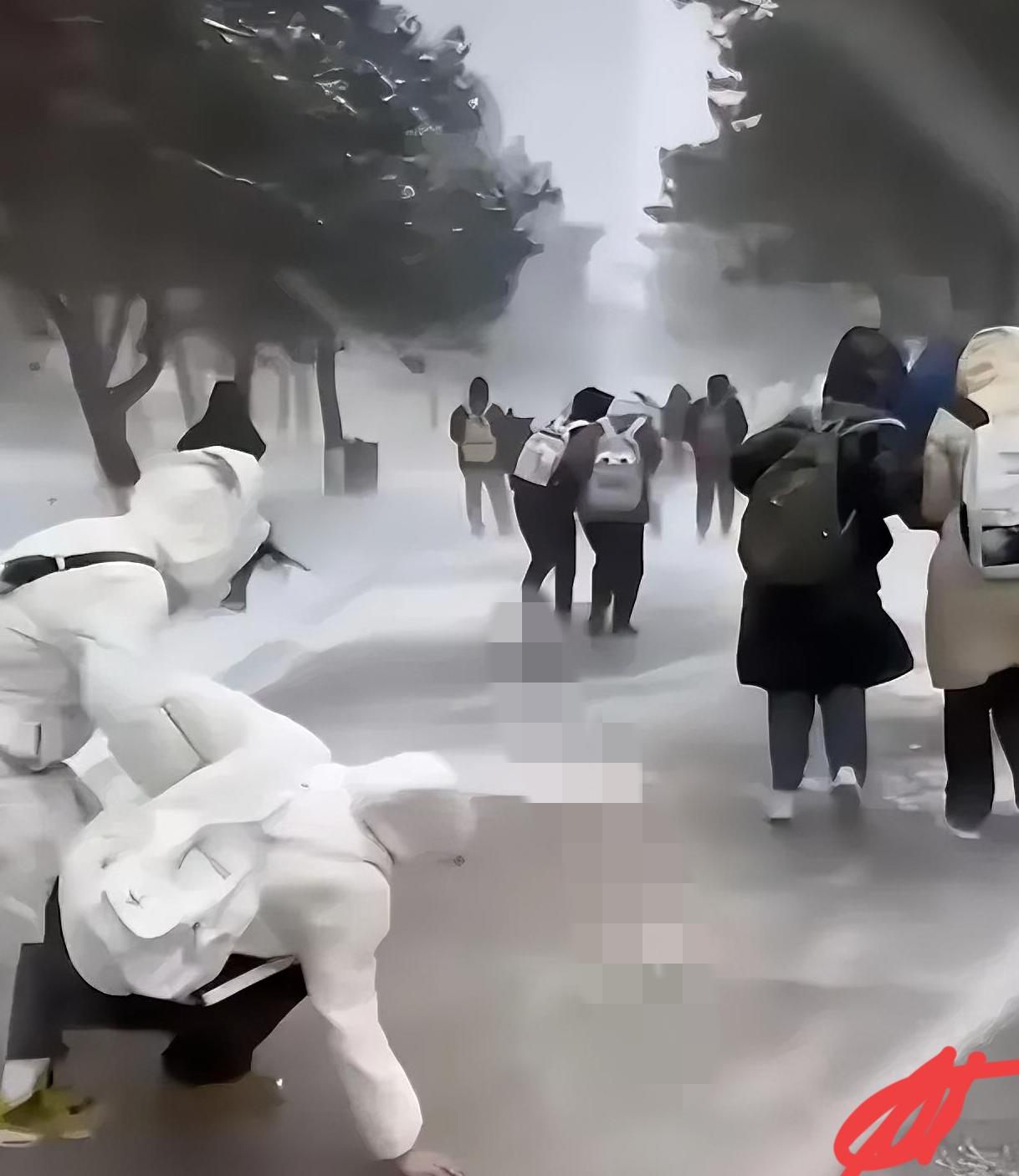 走路姿势的“进化”
​​东北的冬天，路面哪能不滑？头天夜里下的雪，被行人踩实了，