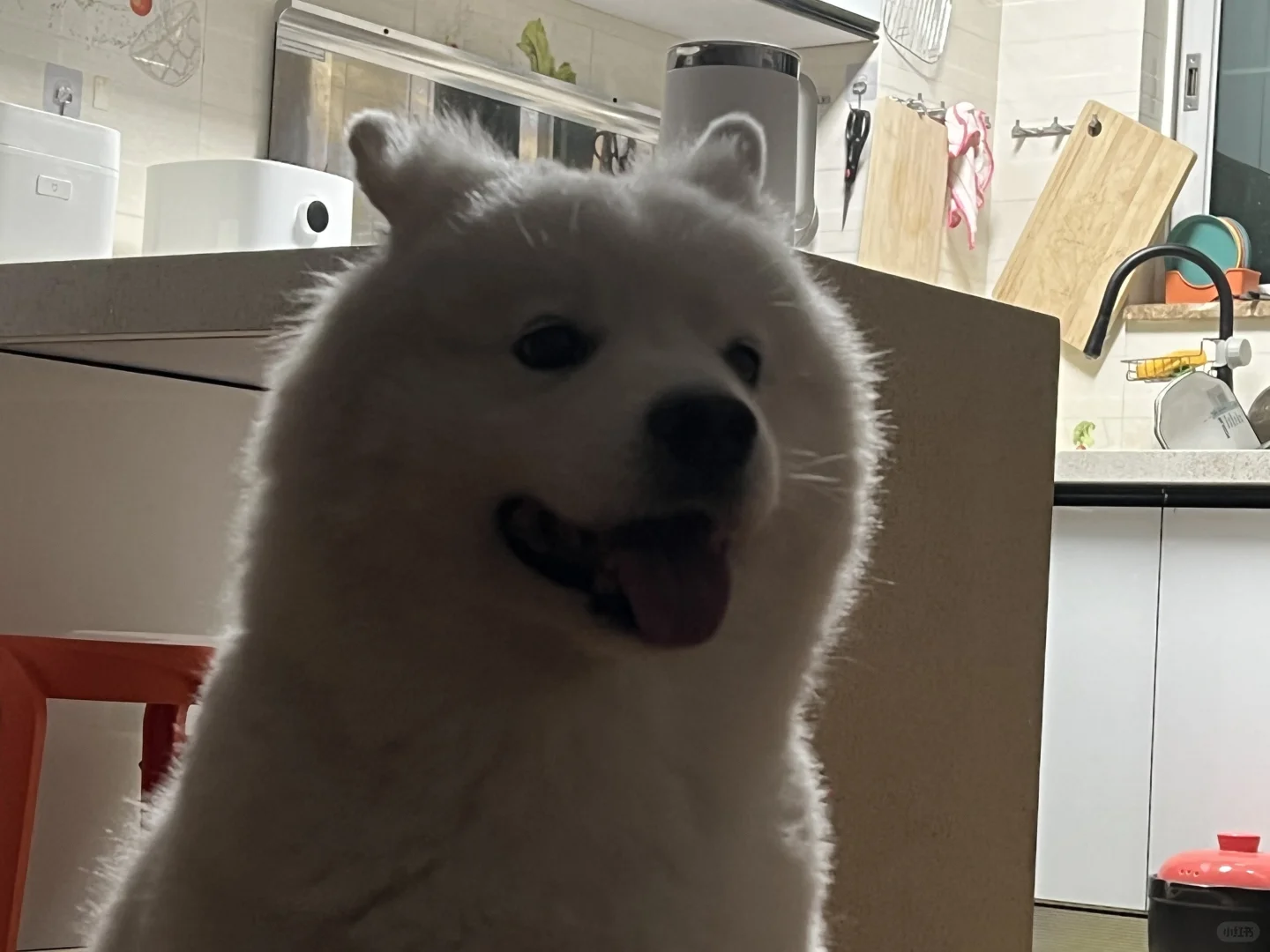 胖桶