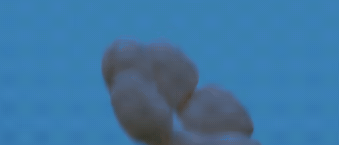 华晨宇火星乌托邦华晨宇[超话] 华晨宇火星乌托邦！一沫真挚的情话 ​​​
