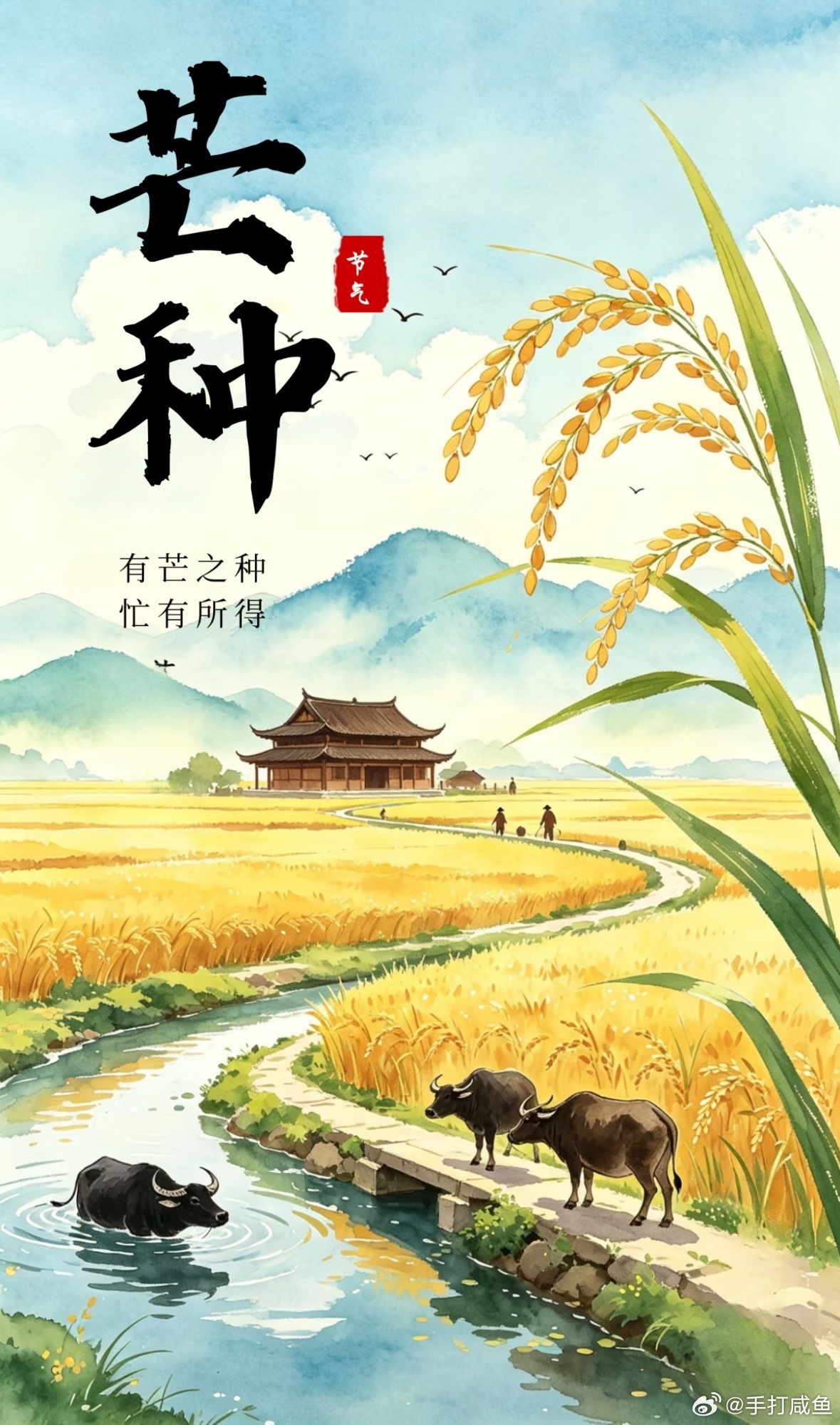 芒种｜忙有所获，种有所得芒种至，仲夏徐徐开篇。大地忙着收麦插秧，一半收获，一半耕
