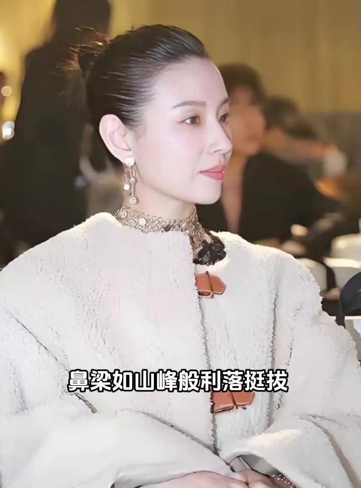 她的侧颜给人一种清冷的高级感，鼻梁如山峰般利落挺拔，内娱公认这就是颜值的顶尖水准