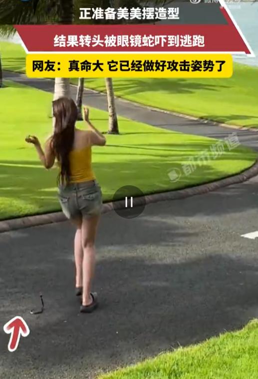 海南三亚，一穿短裤拖鞋的美女正全神贯注摆姿势拍网红照，丝毫没察觉身后不到两米处，