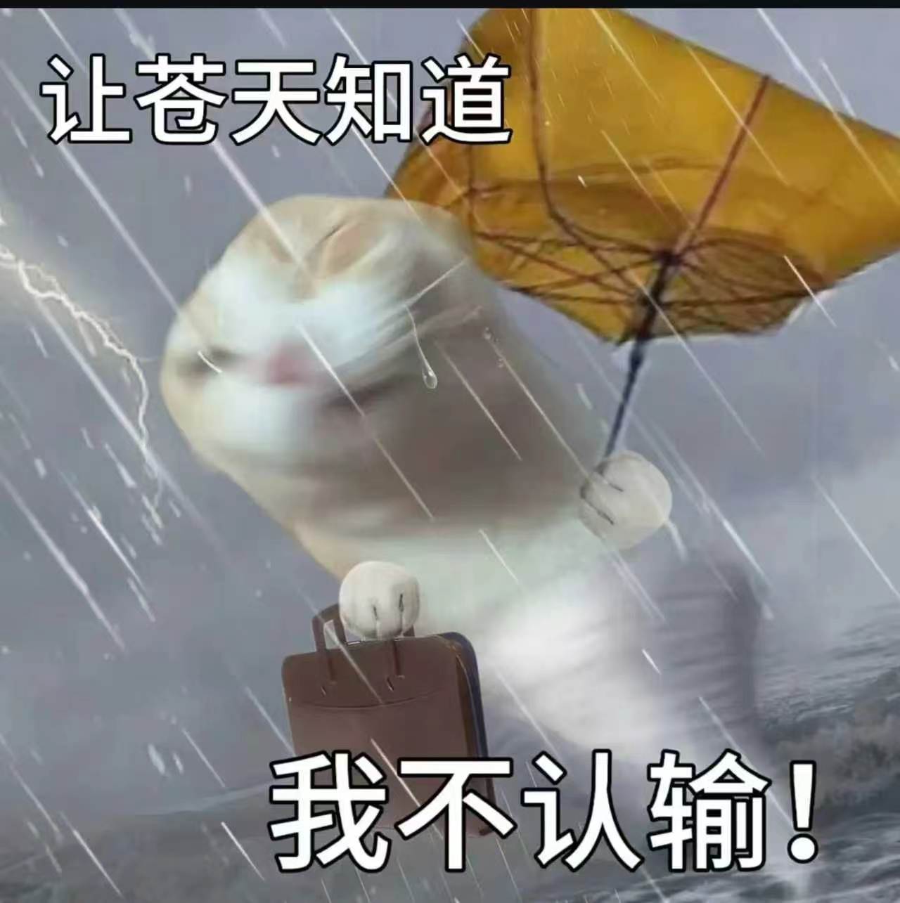 只要我足够努力，老板就能过上他想要的生活。 ​​​