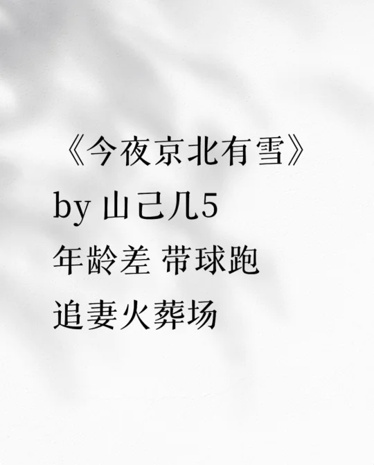 《今夜京北有雪》年龄差 带球跑 追妻火葬场