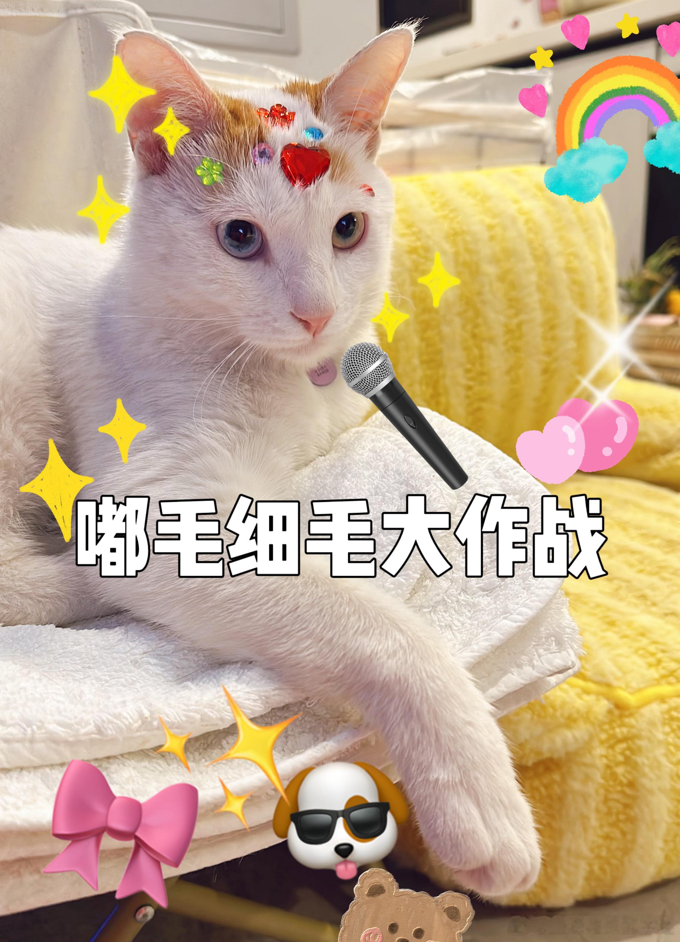 【第十期】评论问我问题吧，任何。下午我来填。 ​​​