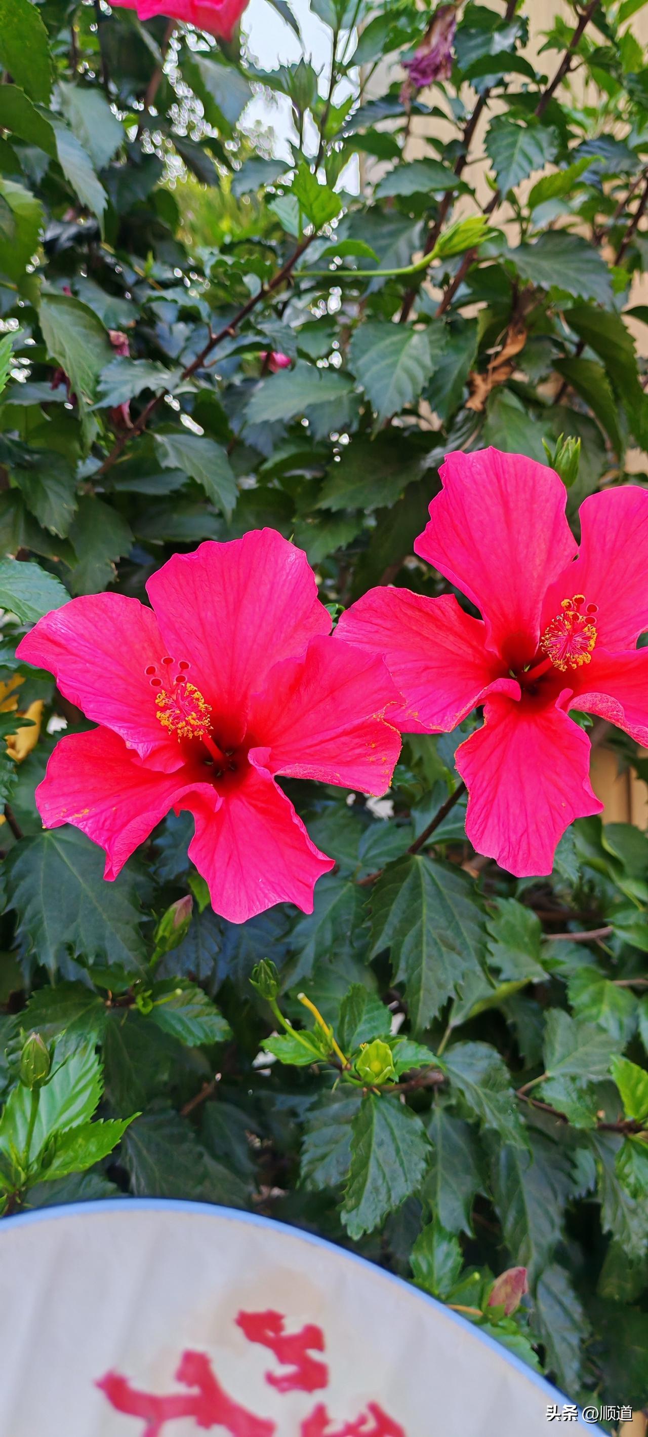 今天休息，昨晚所有计划全泡汤了。因为早上下班回来我将冬天的衣服全收起来了，又找出