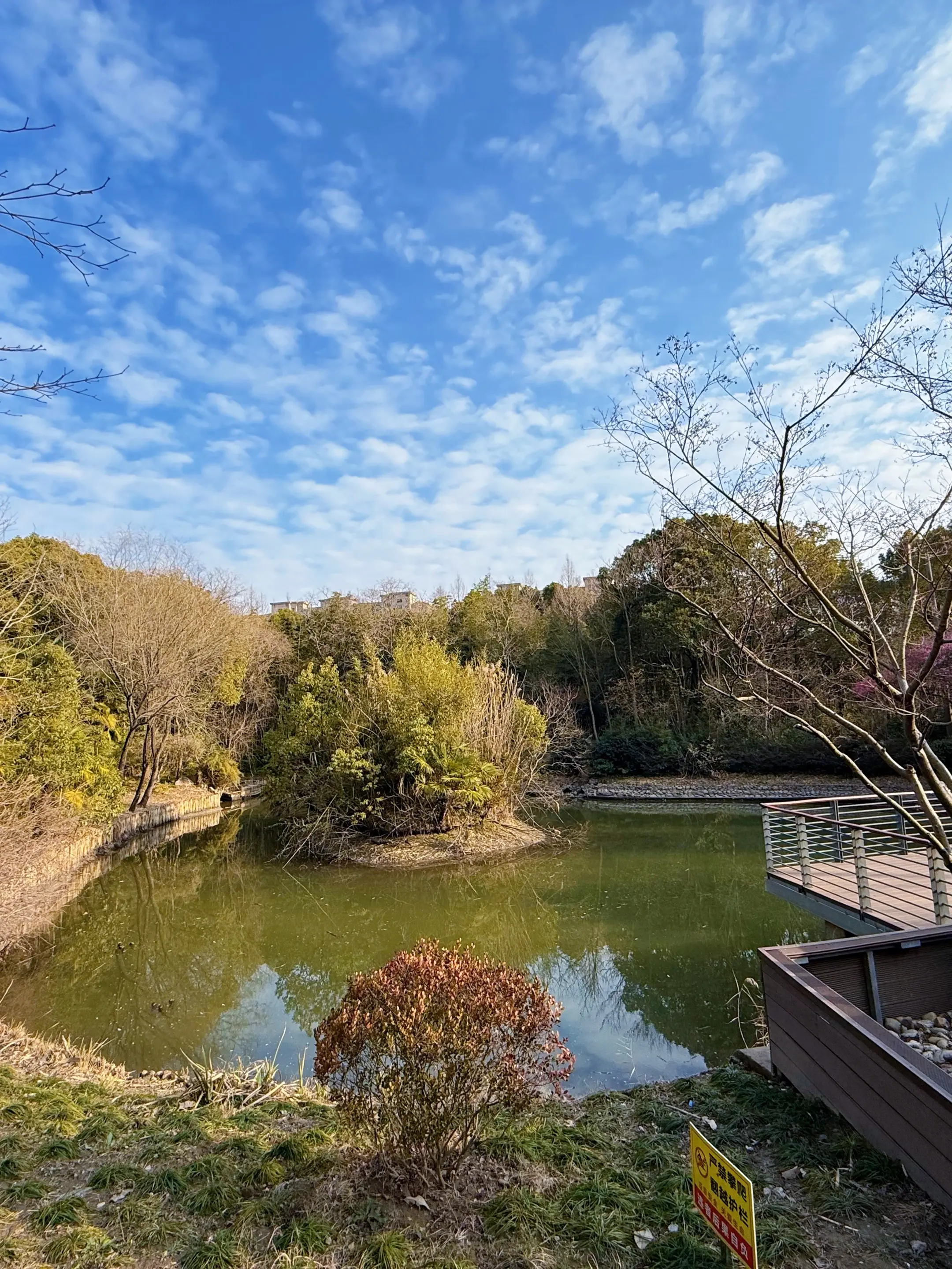 风景美如画人在画中游