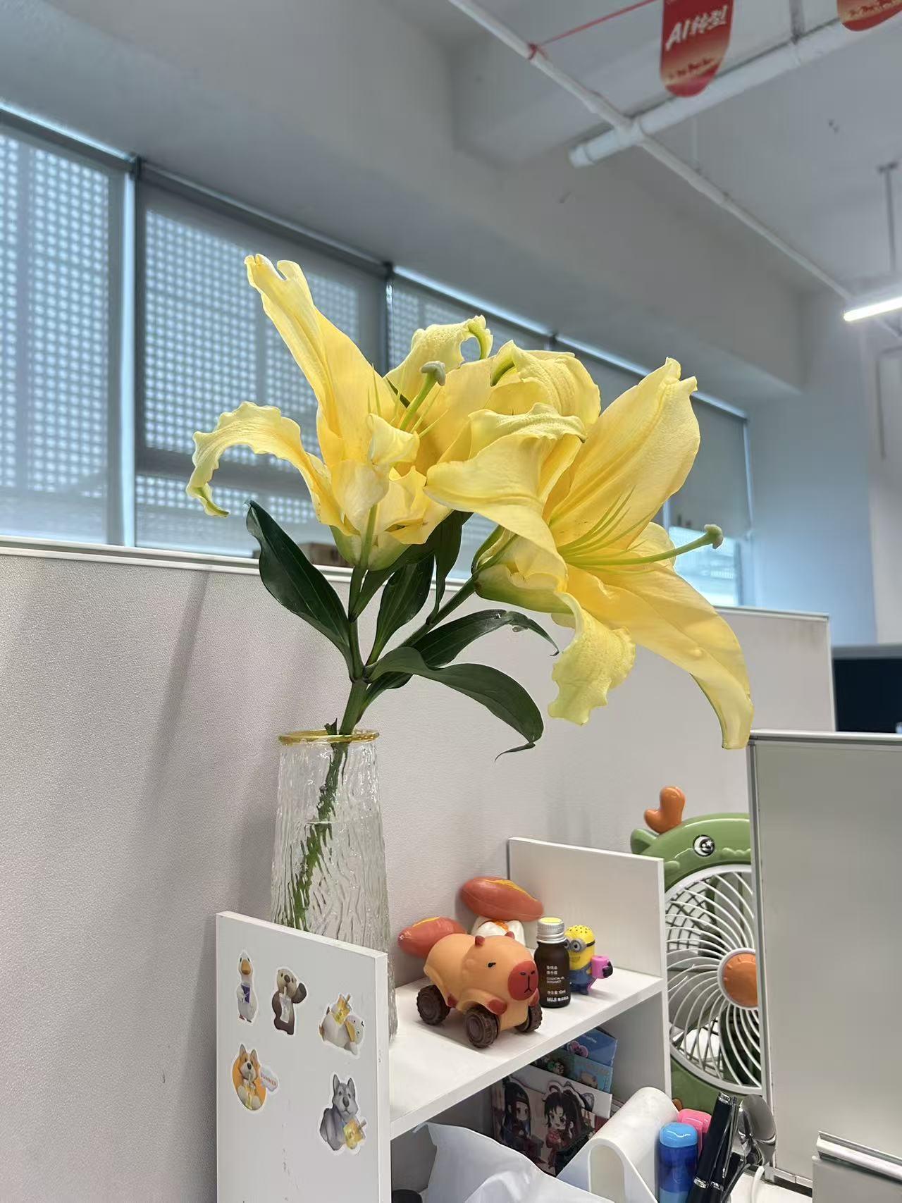 夏日生活打卡季今天上班不久，女同事就送给我一枝花，我百思不得其解，这究竟是什么意