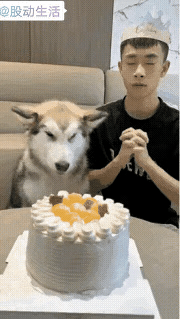 这生日过的一塌糊涂，愿还没许完，蛋糕没了！