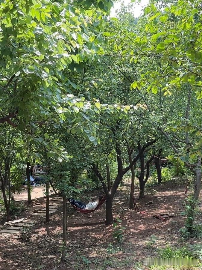 不老山秘境｜私藏小众徒步路线

在宿州发现了一处人少景美的宝藏地！徒步爱好者速来