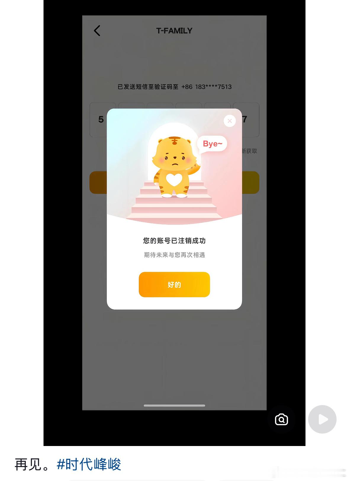 大上午刷到这个笑死了高会注销为什么是这个胖猫哭着下楼说byebye ​​​