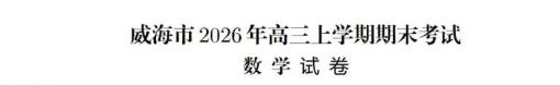2026届威海市期末考试数学压轴单选题第八题，本题考查了对数函数的值域为R，真数