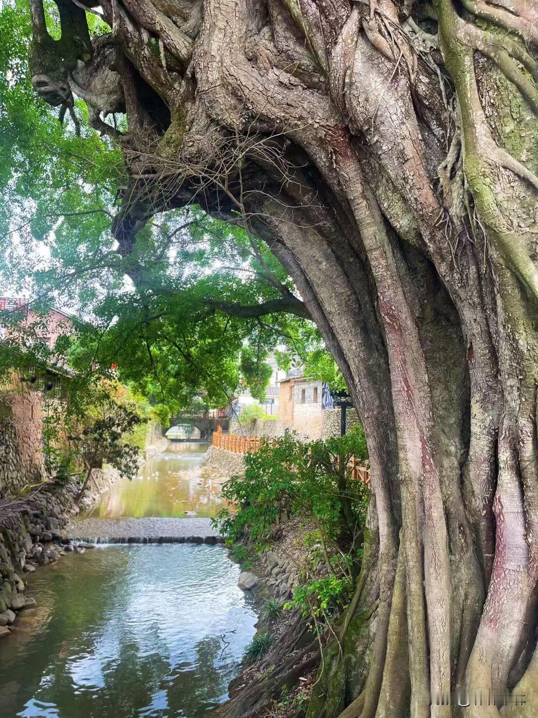 俗话说：有福生六月，无福生腊月
那我想知道如果生在了腊月三十
并且是夜里12点那