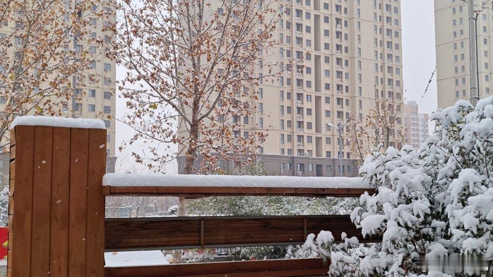 天是揉皱的灰，落下来的凉裹着沉，压弯了枝桠，连雀儿的脚印都没走半丈，就被新的覆盖