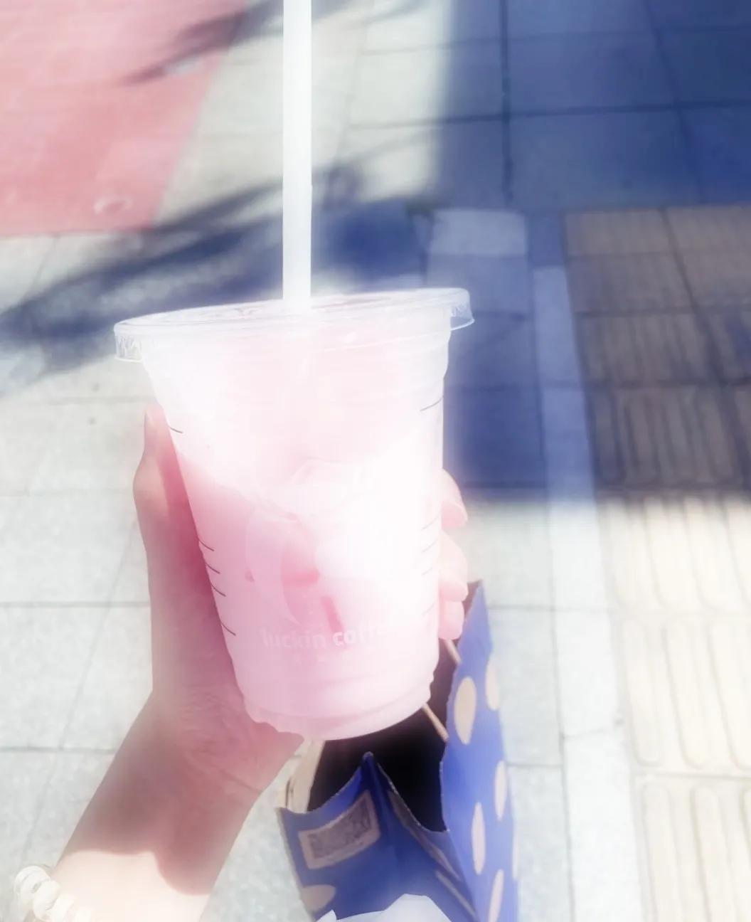 夏日生活打卡季