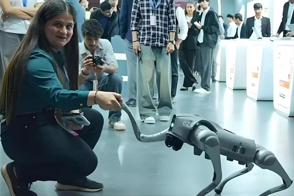 新德里那场号称史上最大AI峰会，2500亿美元承诺、联合国秘书长站台、名人到场，