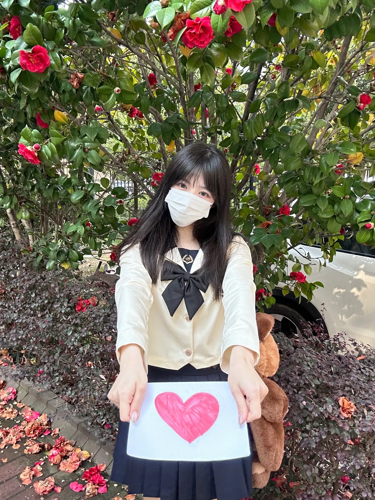 拜托了前辈 请和我交往吧⌯'Ⱉ'⌯。
